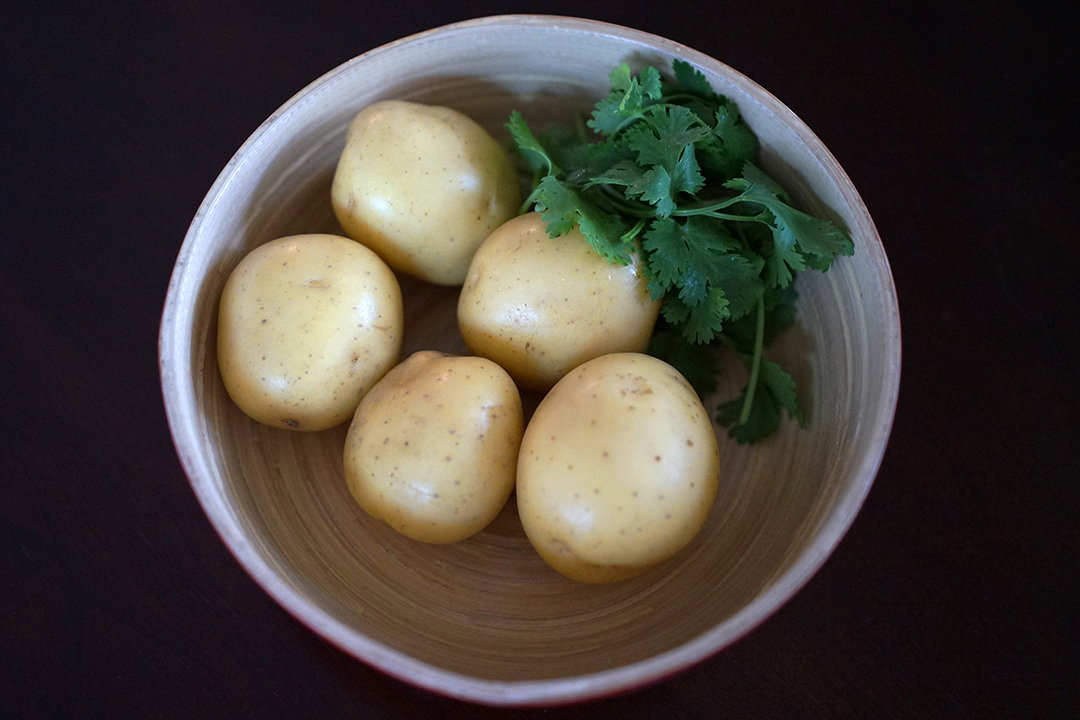 Yellow Potatoes, Fresh Cilantro