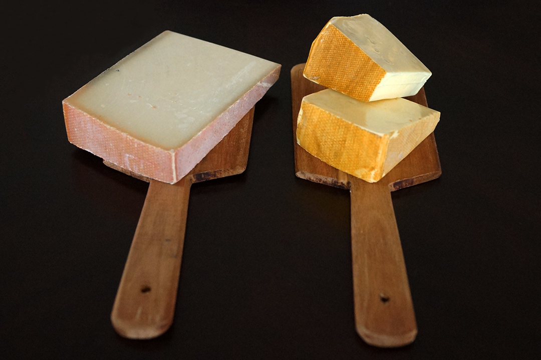 Gruyere AOP, Vacherin Fribourgeois AOP