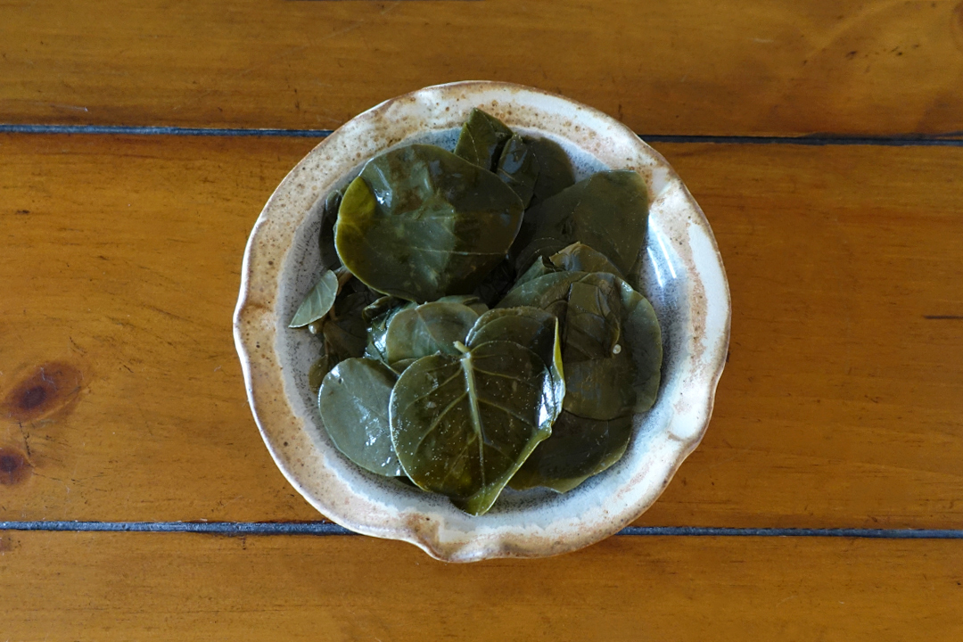 Caper Leaves