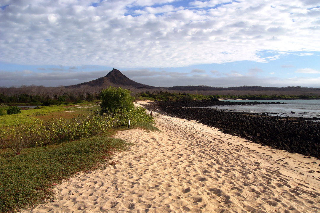 Ekwador, Galapagos, Wyspa Santa Cruz, Cerro Dragon