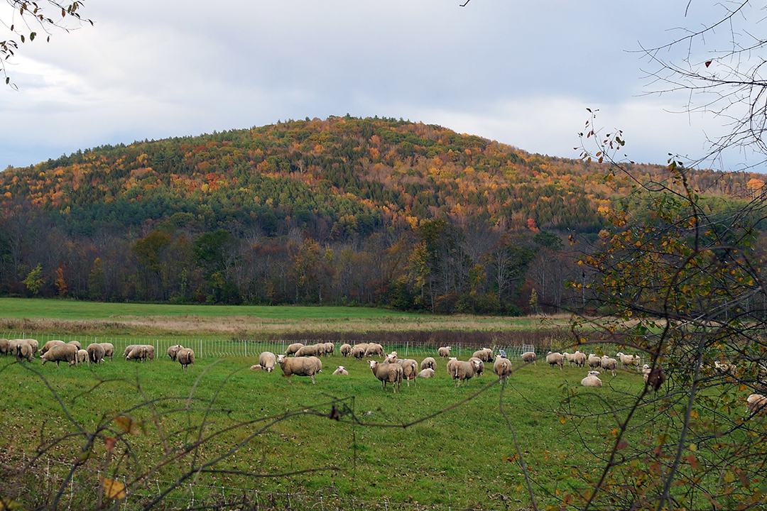 USA, Vermont, Krajobraz Wiejski