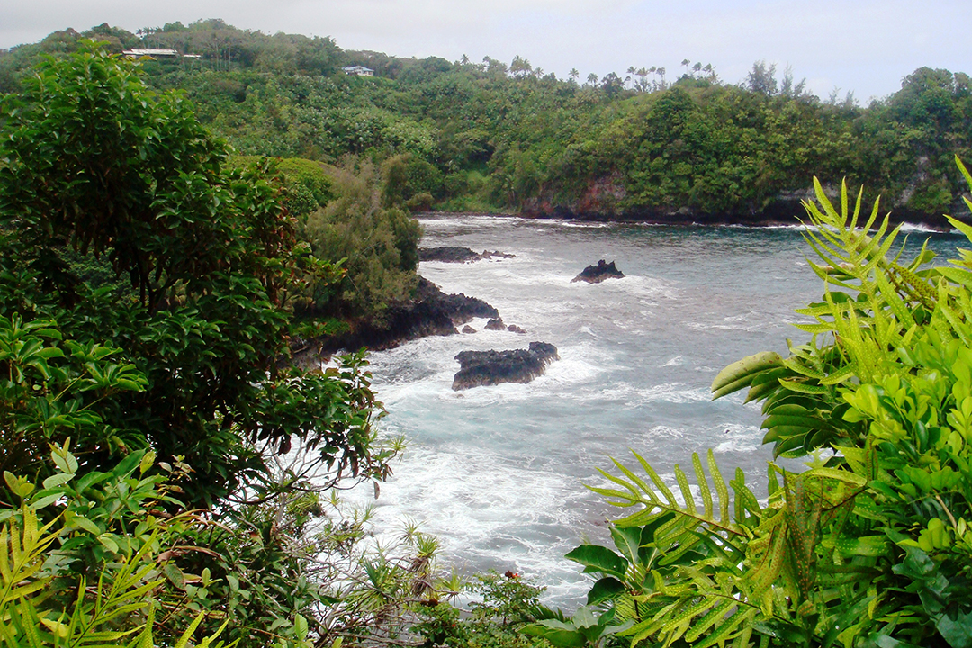 USA, Wielka Wyspa Hawai'i, Wybrzeże Hamakua, Zatoka Onomea