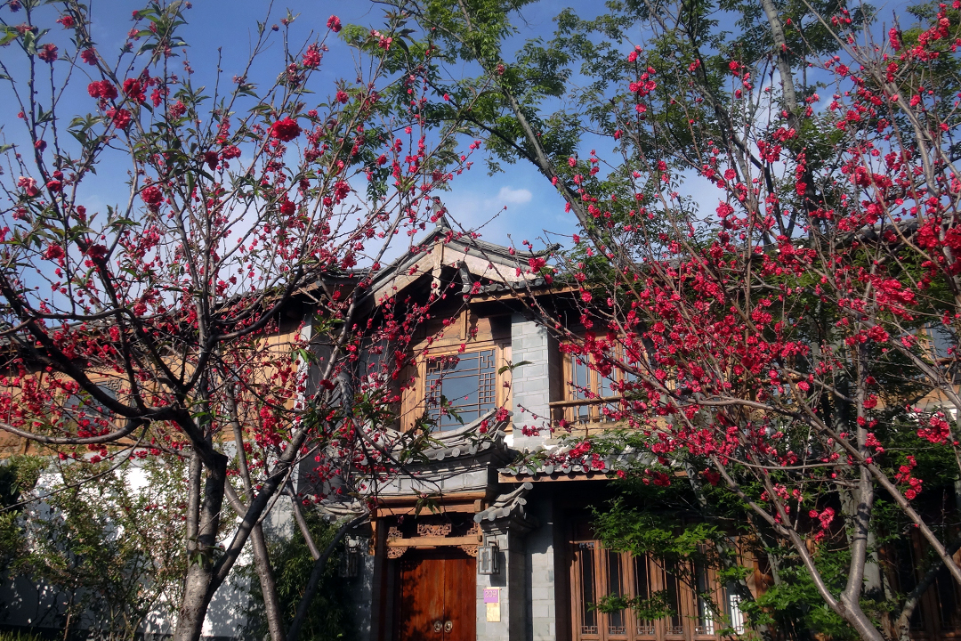 中国，丽江府洲际度假酒店