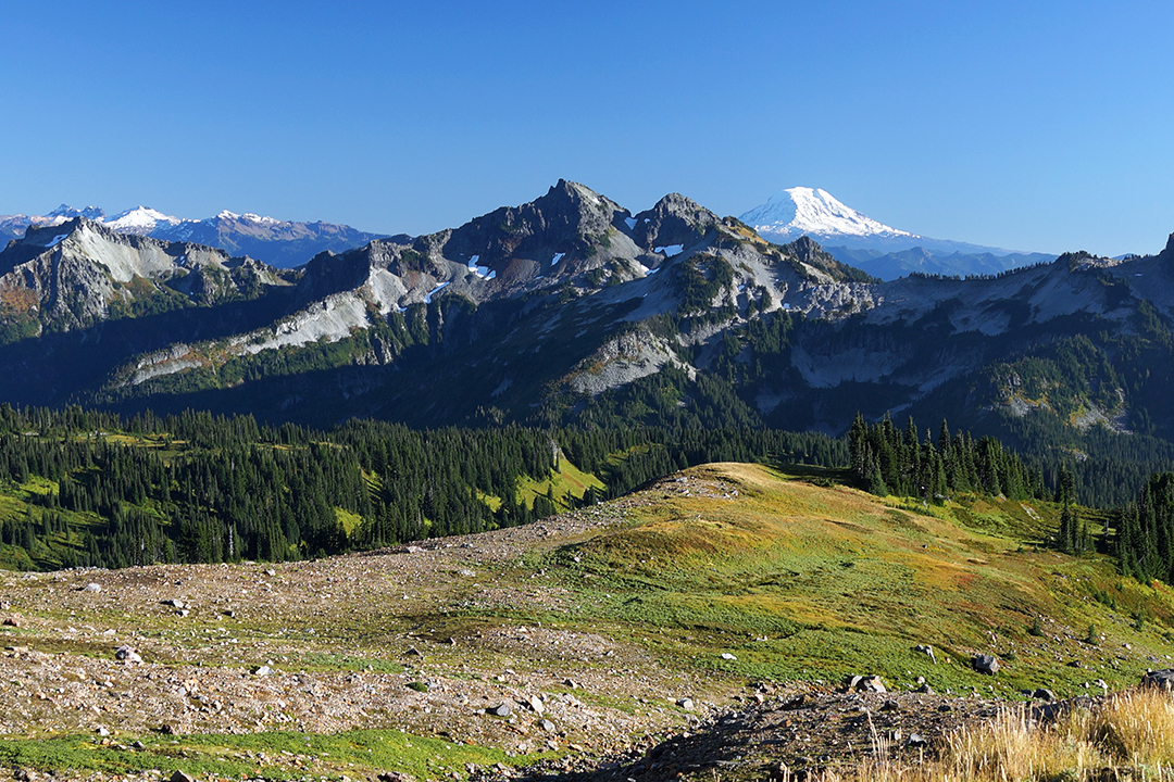 USA, Północno-Zachodni Pacyfik, Widok z Parku Narodowego Mount Rainier