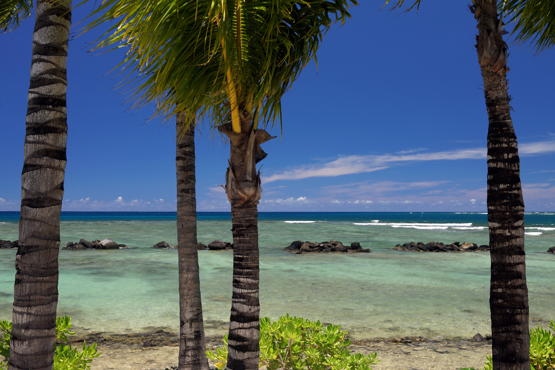 Afryka, Mauritius, Westin Turtle Bay Resort &amp; Spa