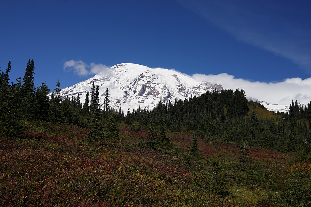 USA, Północno-Zachodni Pacyfik, Góra Rainier